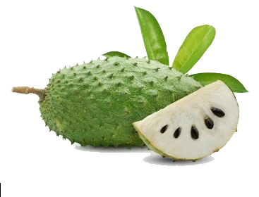 Guanábana