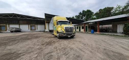 Transporte